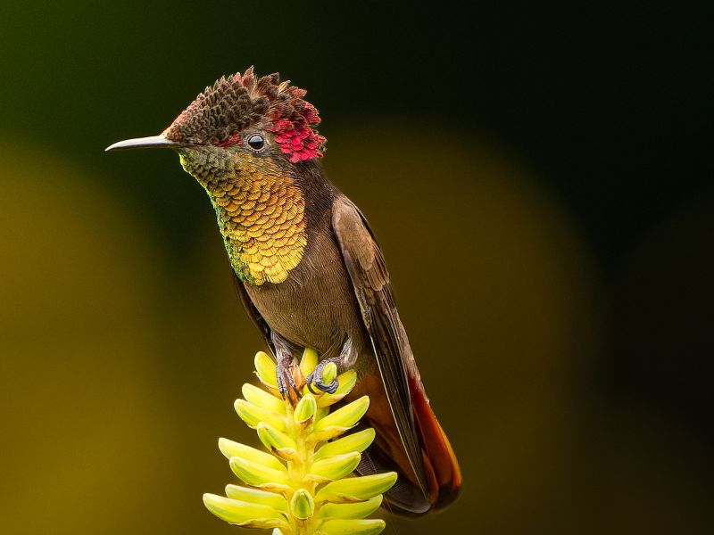 Parque Nacional de la Uva - Imagen 1